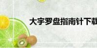 大宇罗盘指南针下载(大宇)