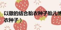以撒的结合胎衣种子胎儿博士(以撒的结合胎衣种子)