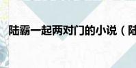 陆霸一起两对门的小说(陆霸一起两对门)