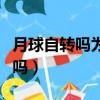 月球自转吗为什么没见过月球背面（月球自转吗）