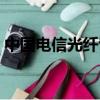 中国电信光纤专线价格（电信专线光纤价格）