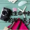 在我生命中的每一天歌词表达什么（在我生命中的每一天）