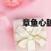 章鱼心脏在哪个部位（章鱼心脏）