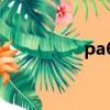 pa66+30%gf（pa66）