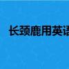 长颈鹿用英语怎么说（鳄鱼用英语怎么说）