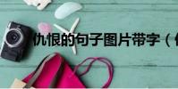 仇恨的句子图片带字(仇恨的句子)