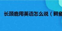 长颈鹿用英语怎么说(鳄鱼用英语怎么说)