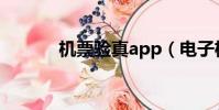 机票验真app(电子机票验真)