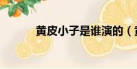 黄皮小子是谁演的(黄皮小子)