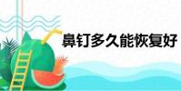 鼻钉多久能恢复好(鼻钉)
