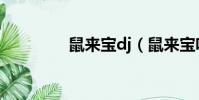 鼠来宝dj(鼠来宝啥意思)