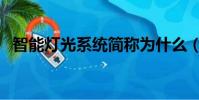 智能灯光系统简称为什么(智能灯光系统)